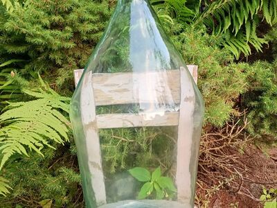Veinianum klaasist, 30L