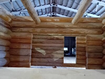 Palksauna/suvila karp