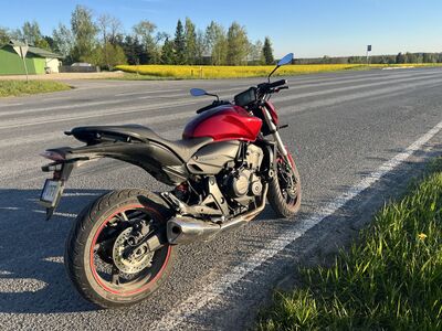 Honda Hornet