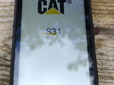 Cat S31