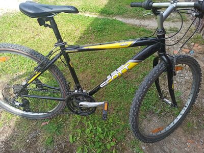 Scott Timber 26"