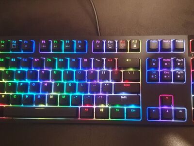 Realforce RGB klaviatuur, US, Topre Switches, must