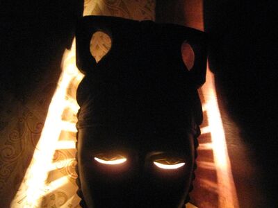 Seinalamp Mask valgustusega + seinapilt 29x39cm