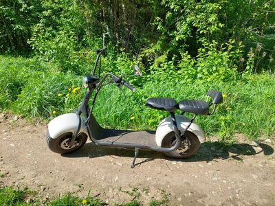 Elektriroller