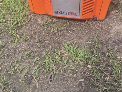 Võsalõikaja/trimmer Husqvarna 245RX