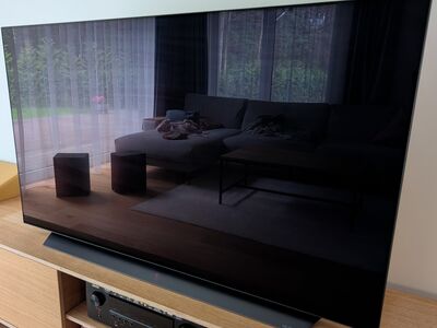 55" LG OLED TV