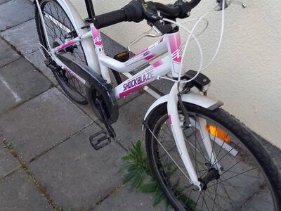Tüdrukute jalgratas Shockblaze Lady 24