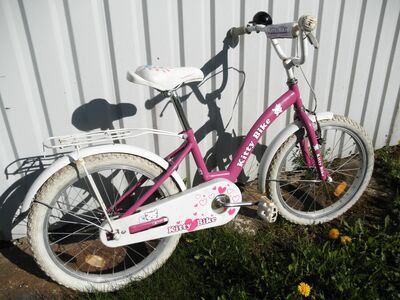 Tüdrukute jalgratas KITTY BIKE 20"