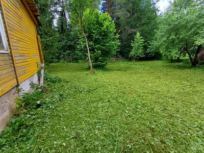 Trimmerdamine ja robotniidukiga niitmine