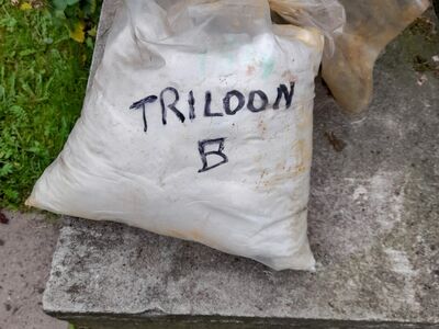 Triloon B