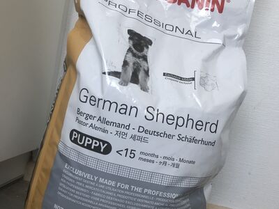 Royal Canin German Shepherd Puppy kuivtoit