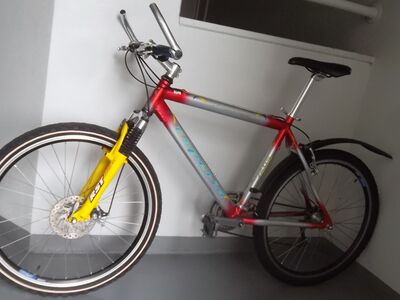 Jalgratas MTB Esperia 26".