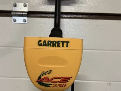Garrett Ace 250