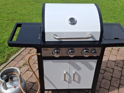 Grill Mustang