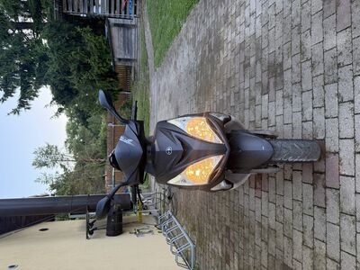 Btn Falcon pro racin mopeed 2024a