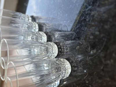 Klaasid