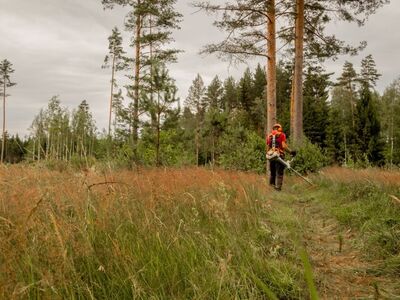 Kultuurihooldus Viljandi- ja Valgamaal