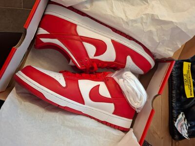 Nike dunk low SP uued