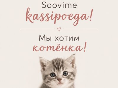 Soovime kassipoega