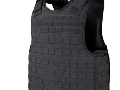 Plaadikandja condor