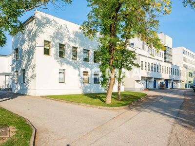 Stabiilne tervishoiuteenustega seotud rahavoo objekt.