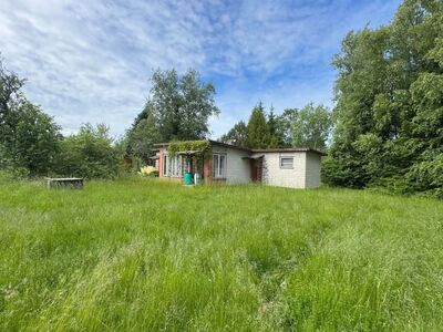 Suvila renoveerimiseks või kena krunt