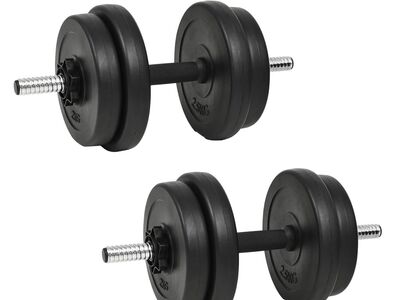 vidaXL 18-osaline hantlite komplekt 20 kg
