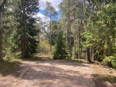 Kaks kinnistut ühe hinnaga Järve külas!