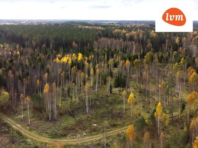 Kinnistu otse jõe kaldal!