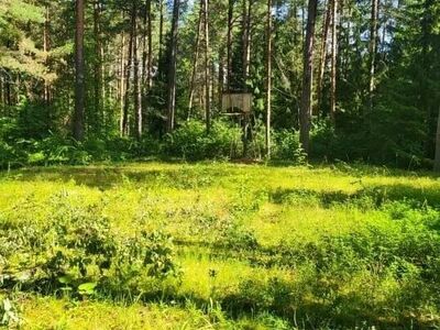 Müüa parima asukohaga kinnistu Narva-Jõesuus