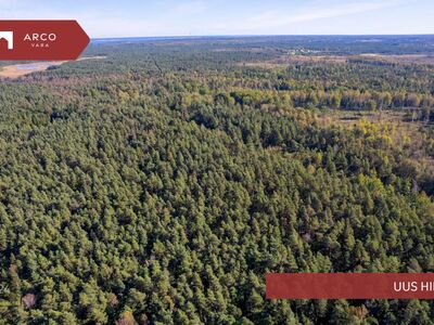 Müüa 13,5 ha metsamajanduslik kinnistu Saaremaal.