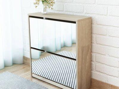 vidaXLi 2 sahtli ja peegliga kingakapp 63 x 17 x 67 cm tammevärvi