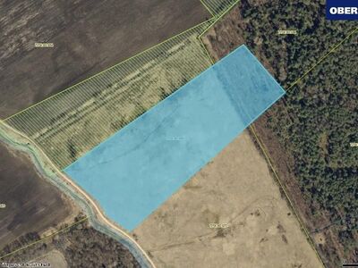 Müüakse hinnapakkumiste põhjal kinnistu kat