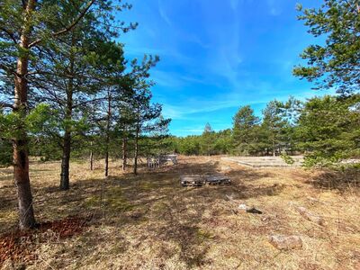 ELAMUMAA PEIPSI JÄRVE ÄÄRES