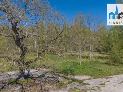 HOONESTAMATA KINNISTU VIRTSUS!