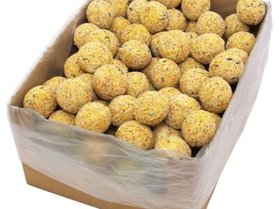 vidaXL linnu rasvapallid, 200 tk, 90 g