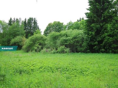 Elamumaa krunt Pangodi järve lähedal