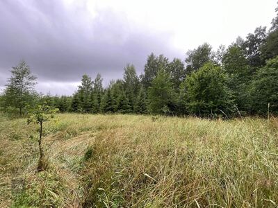 Ehitusvõimalusega kinnistu