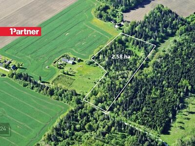2.6 ha metsamaad Tamsalu linna lähedal!