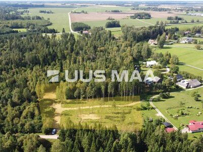 UUS HIND! Müüa kaunis männimetsaga piirnev elamumaa krunt!