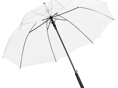 vidaXL vihmavari läbipaistev, 100 cm