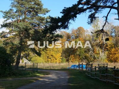 Suur kinnistu LAULASMAAL