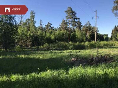 Padise ja Rummu vahel müüa 2,34ha suurune maatükk, millest 1,9ha on metsamaa(Maa-ameti kaart)