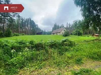 Privaatne metsaga kinnistu