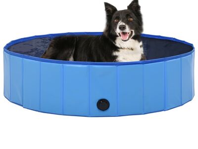 vidaXL kokkupandav koertebassein, sinine, 120 x 30 cm, PVC