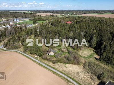 Hoonestatud kinnistu metsatuka serval