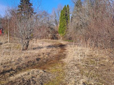 Privaatne elamumaa Kohila alevis – Krookuse 6