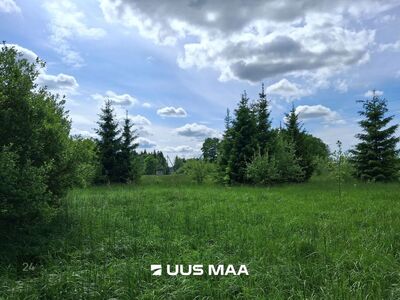 Müüa 1,4 ha maatulundusmaa Ruila külas