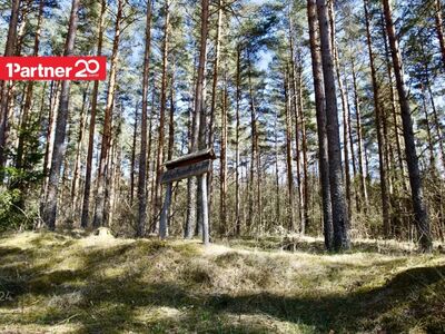 Avatud pakkumistele