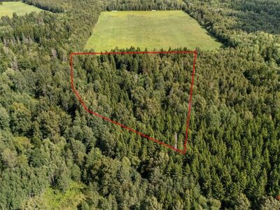 Müüa metsaga kaetud krunt!